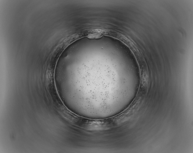 X0000113620473200909181443