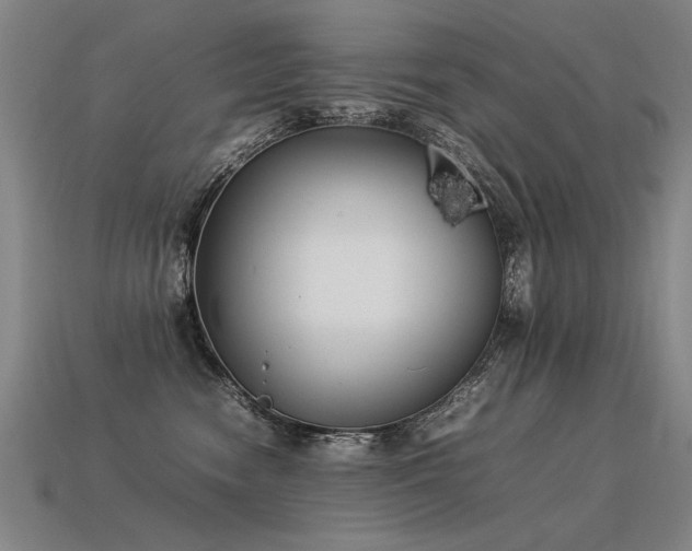 X0000113620474200909181443