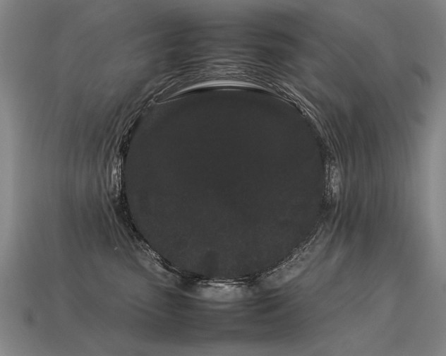 X0000113620475200909181443