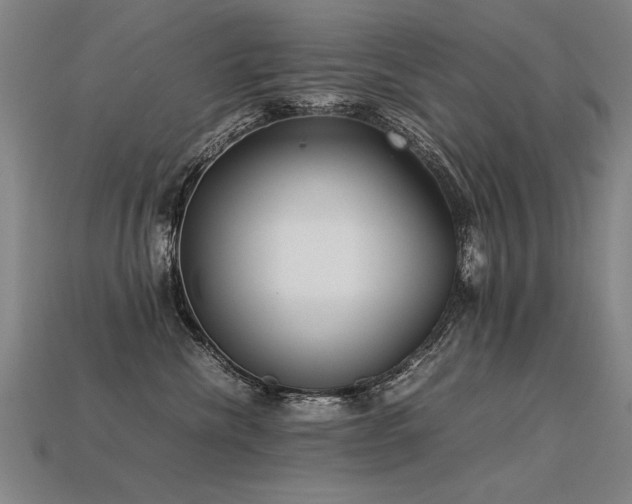 X0000113620476200909181443