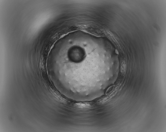 X0000113620477200909181443