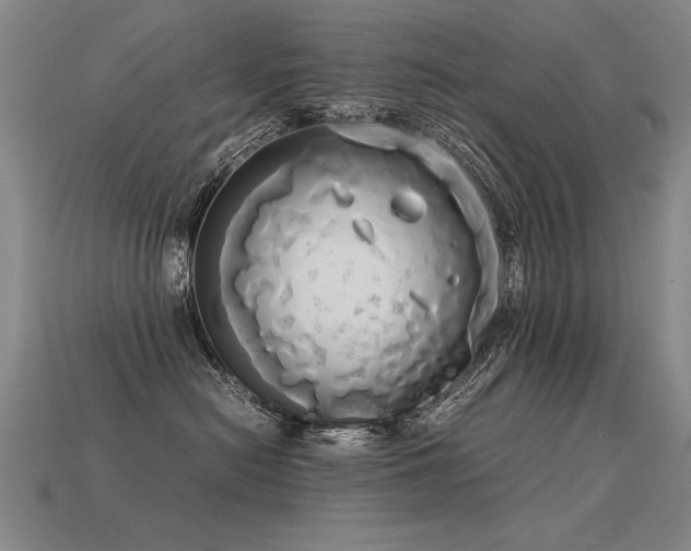 X0000113620478200909181443