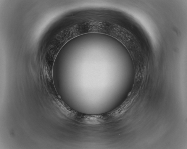 X0000113620479200909181443