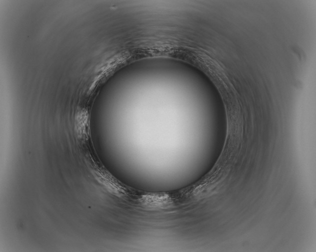 X0000113620480200909181443