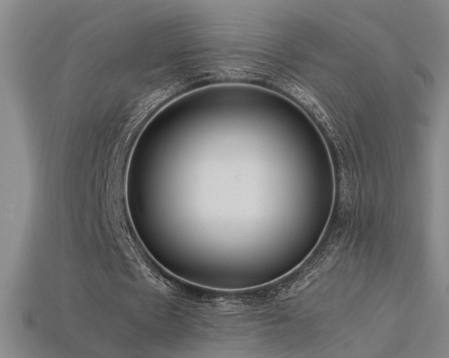 X0000113620481200909181443