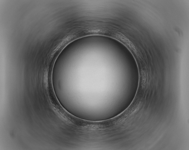 X0000113620482200909181443