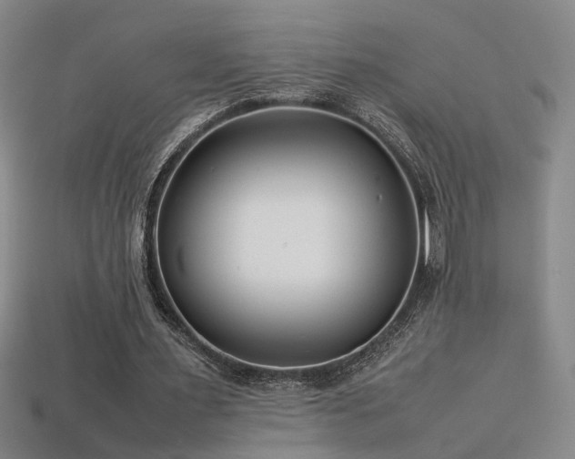 X0000113620483200909181443