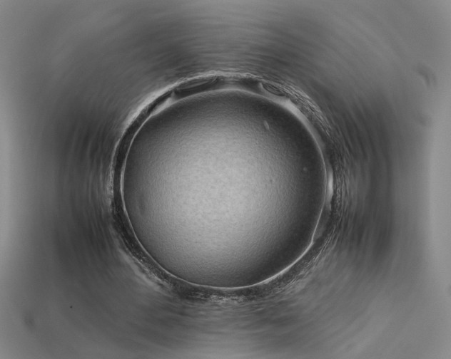 X0000113620484200909181443