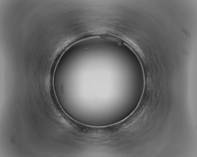 X0000113620485200909181443