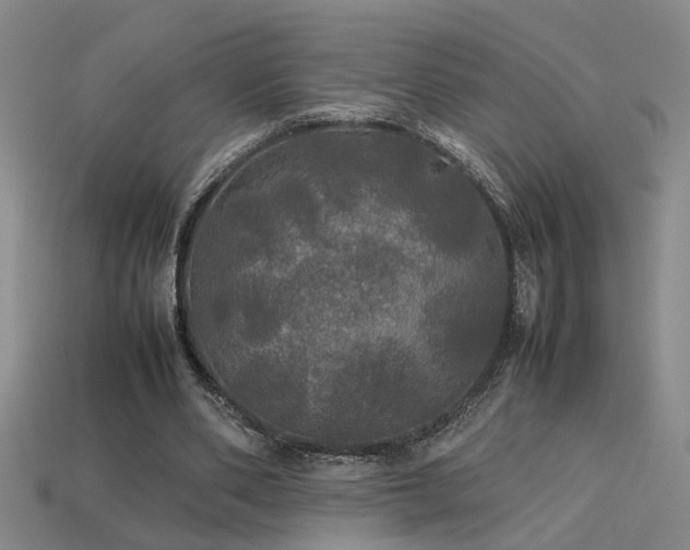 X0000113620486200909181443