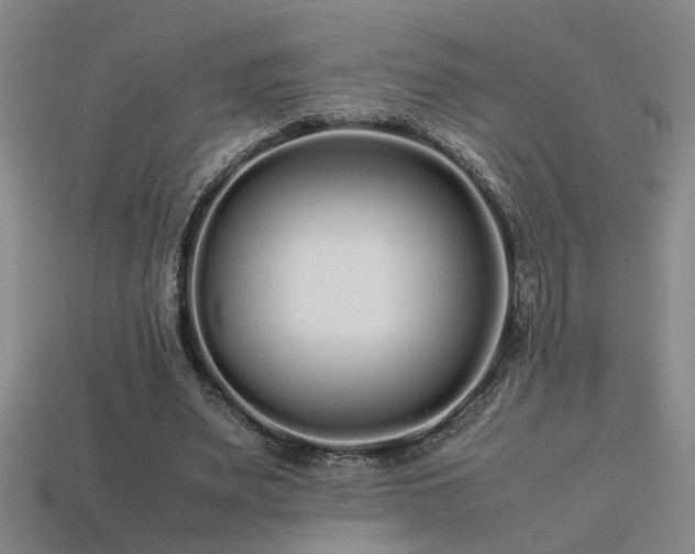 X0000113620487200909181443