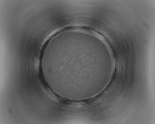 X0000113620488200909181443