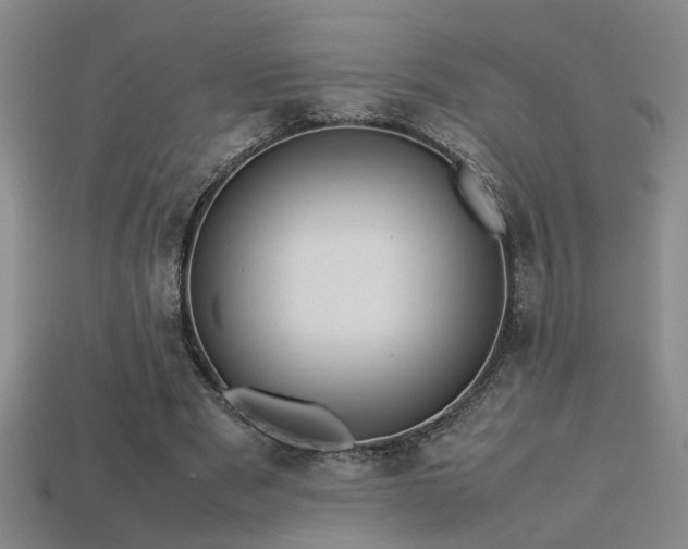 X0000113620489200909181443