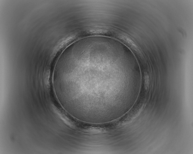 X0000113620490200909181443