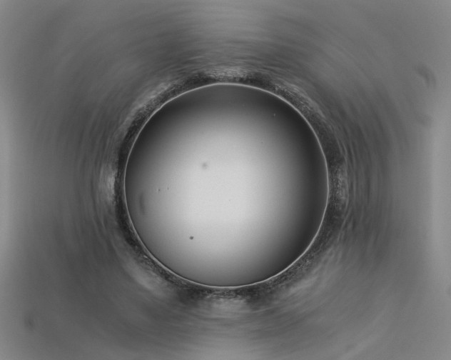 X0000113620491200909181443