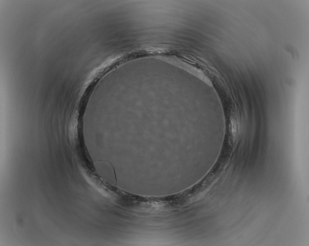 X0000113620492200909181443