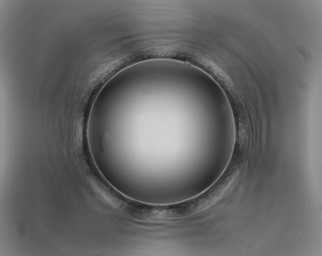 X0000113620493200909181443