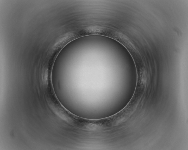 X0000113620494200909181443