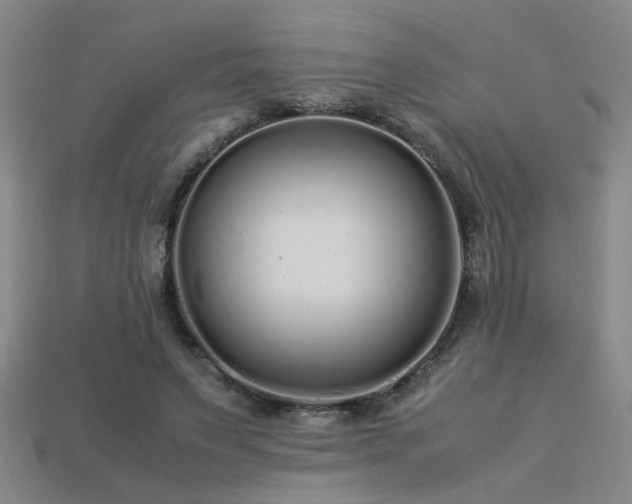 X0000113620495200909181443