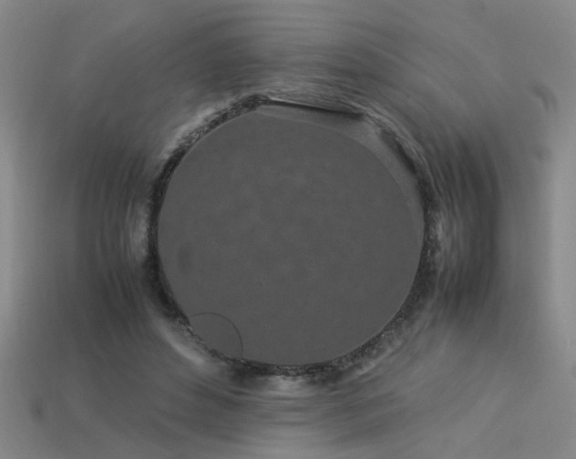 X0000113620496200909181443