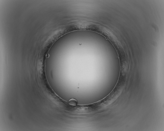 X0000113620497200909181443