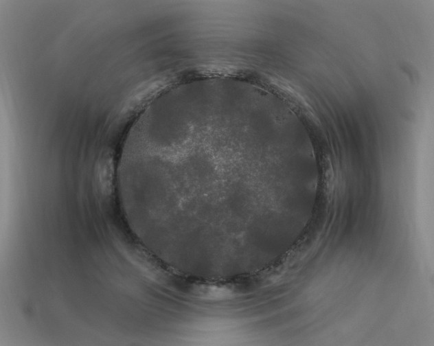 X0000113620498200909181443