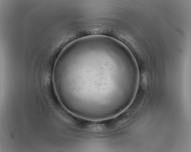 X0000113620499200909181443