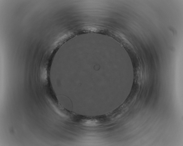 X0000113620500200909181443