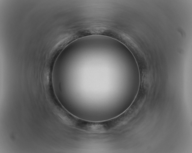 X0000113620501200909181443