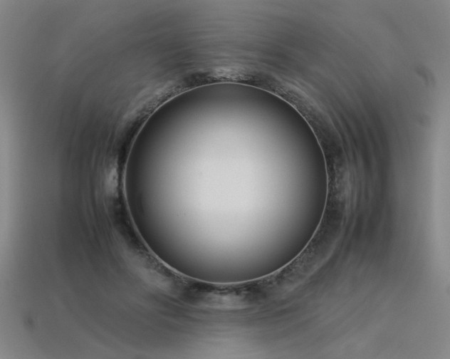 X0000113620502200909181443