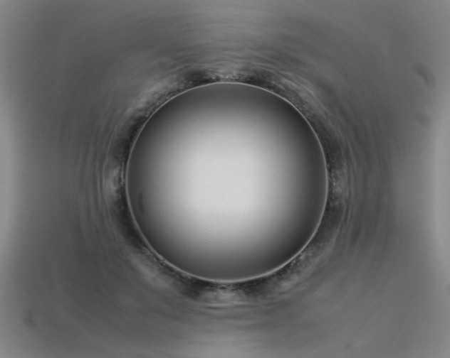 X0000113620503200909181442