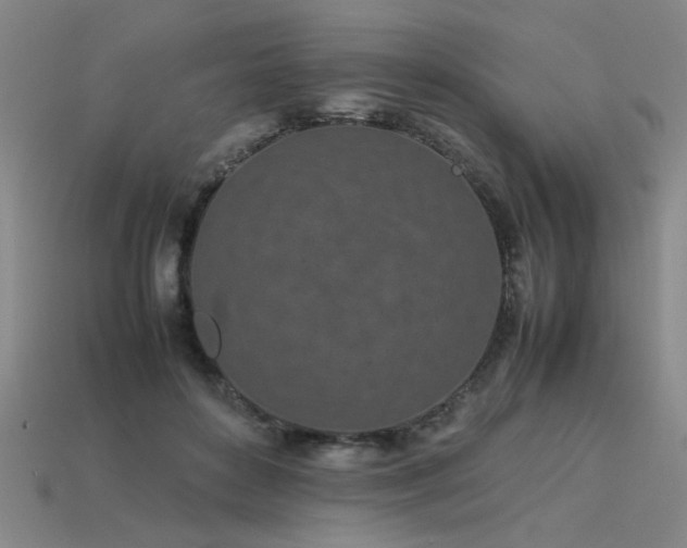 X0000113620504200909181442