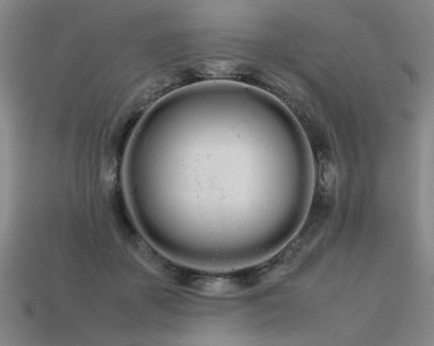 X0000113620507200909181442