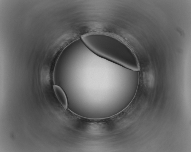 X0000113620508200909181442