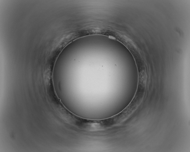 X0000113620509200909181442