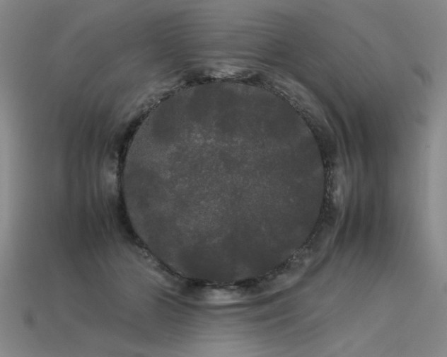 X0000113620510200909181442