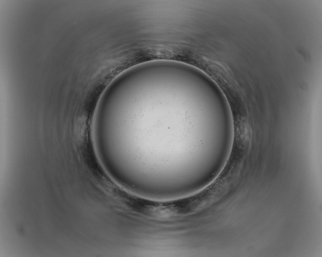 X0000113620511200909181442