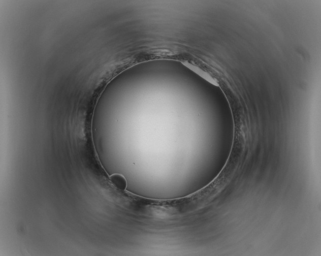 X0000113620512200909181442