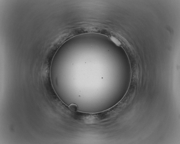 X0000113620513200909181442