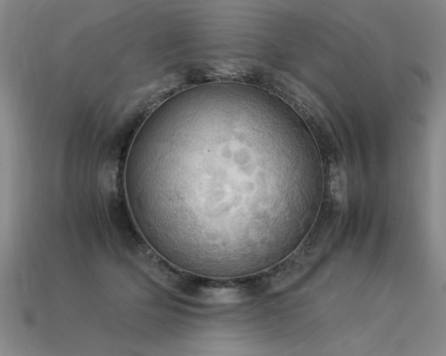 X0000113620514200909181442