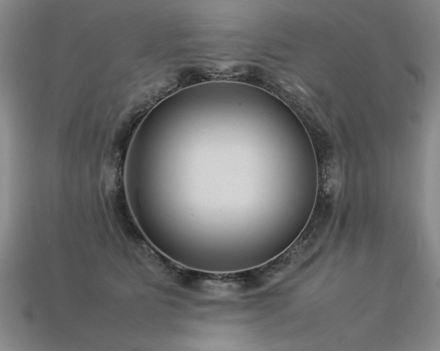 X0000113620515200909181442