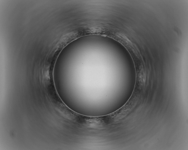 X0000113620516200909181442