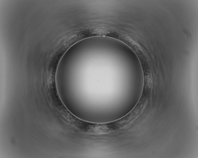 X0000113620517200909181442