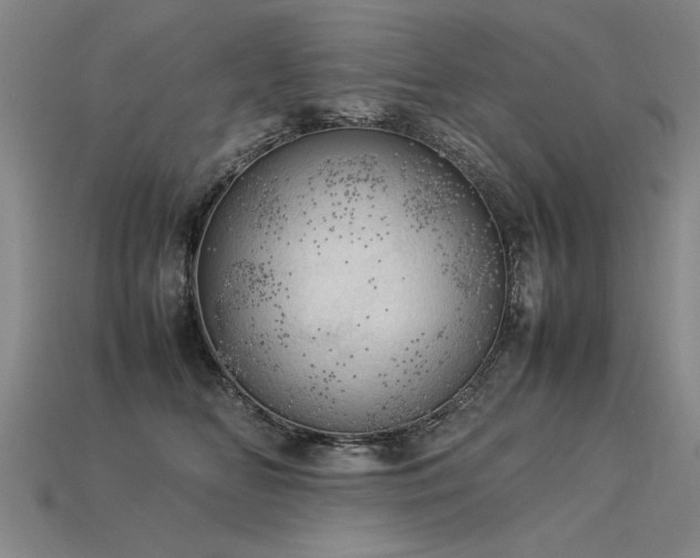 X0000113620518200909181442