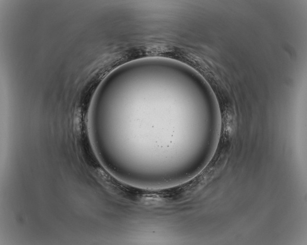 X0000113620519200909181442