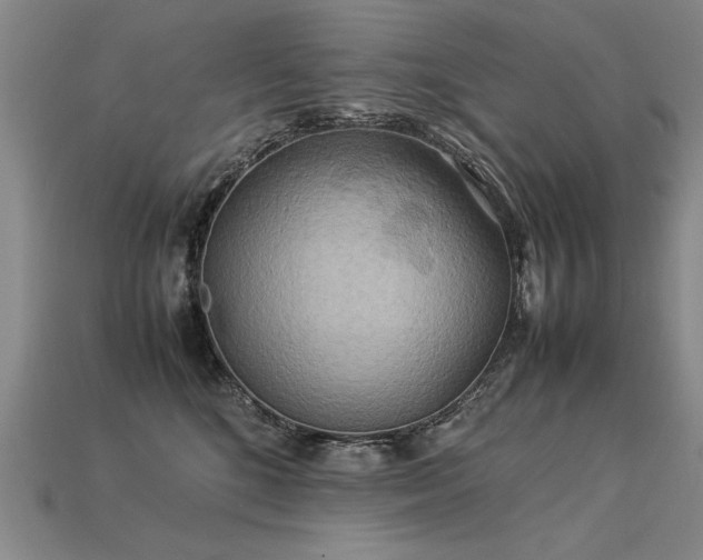 X0000113620520200909181442