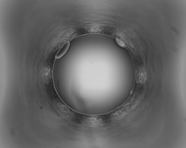 X0000113620521200909181442