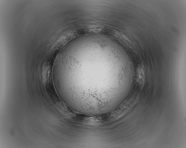 X0000113620522200909181442