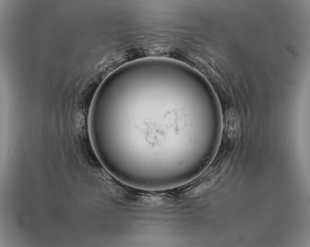 X0000113620523200909181442