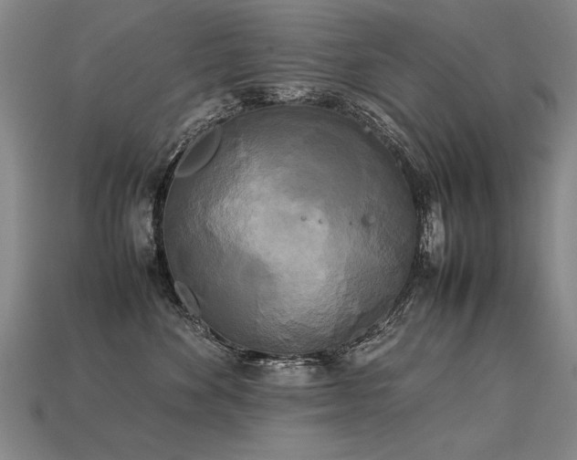 X0000113620524200909181442